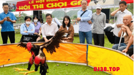 CỘNG ĐỒNG THAM GIAMOON GÀ CHỘI - GÀ THOMO