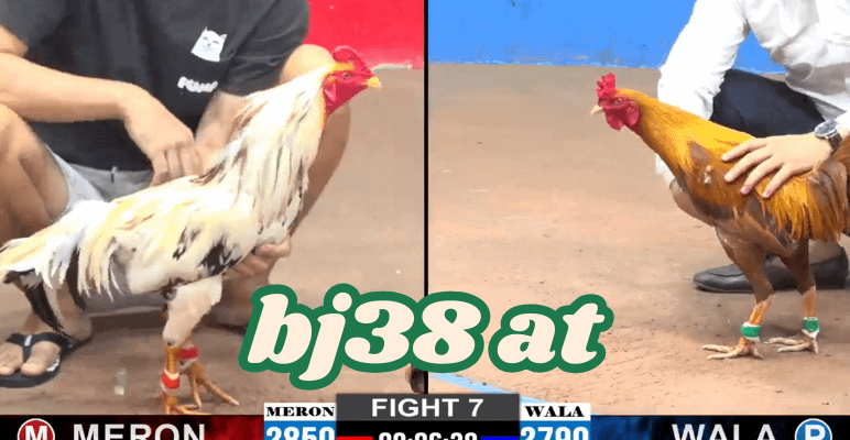 bj38 trang chủ đá ga thomo cpc