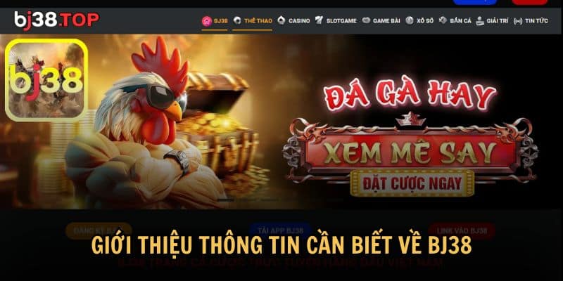 Những thông tin quan trọng về BJ38