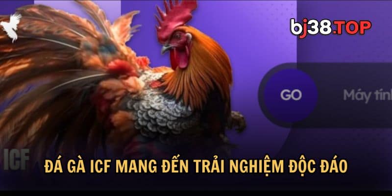 Thông tin về sảnh đá gà ICF